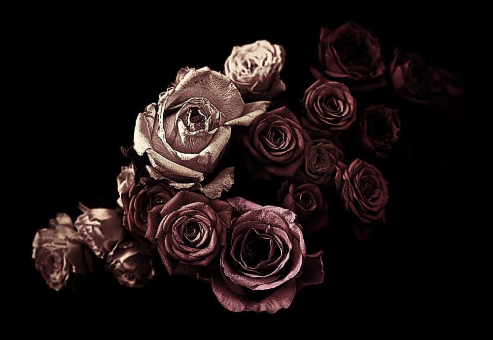 Moody Vintage Roses by Angel Julie — canvas wall art