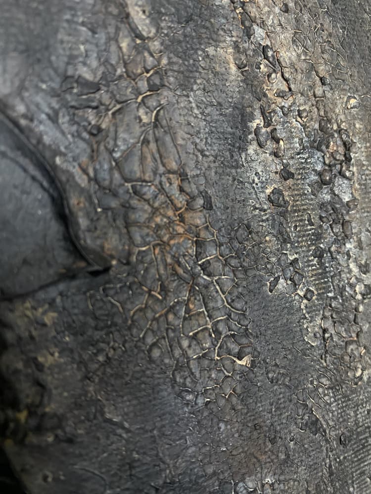 Deeply Cracked Texture by Gabriela Aleksandra Szuba — canvas wall art