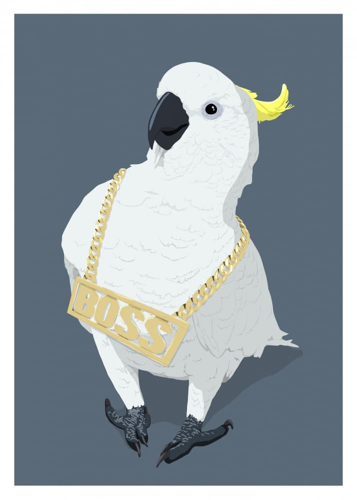 Boss Cockatoo Gold Chain by ByKammille — canvas wall art