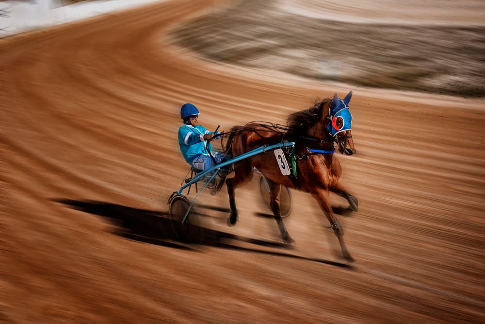 Dynamic Harness Racing by Xavier Garci — canvas wall art