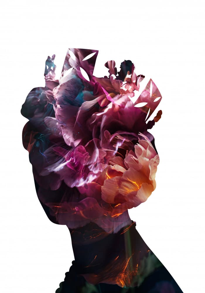 Dreamy Floral Silhouette by Sarah Manovski — canvas wall art