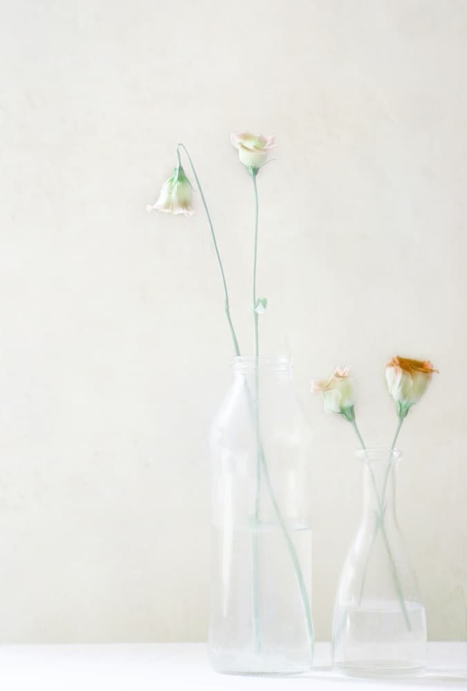 Pale Blossoms in Glass by Delphine Devos — canvas wall art