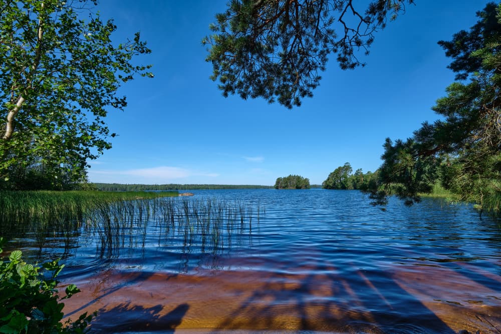 Peaceful Lake Shore by Geertjan Plooijer — canvas wall art