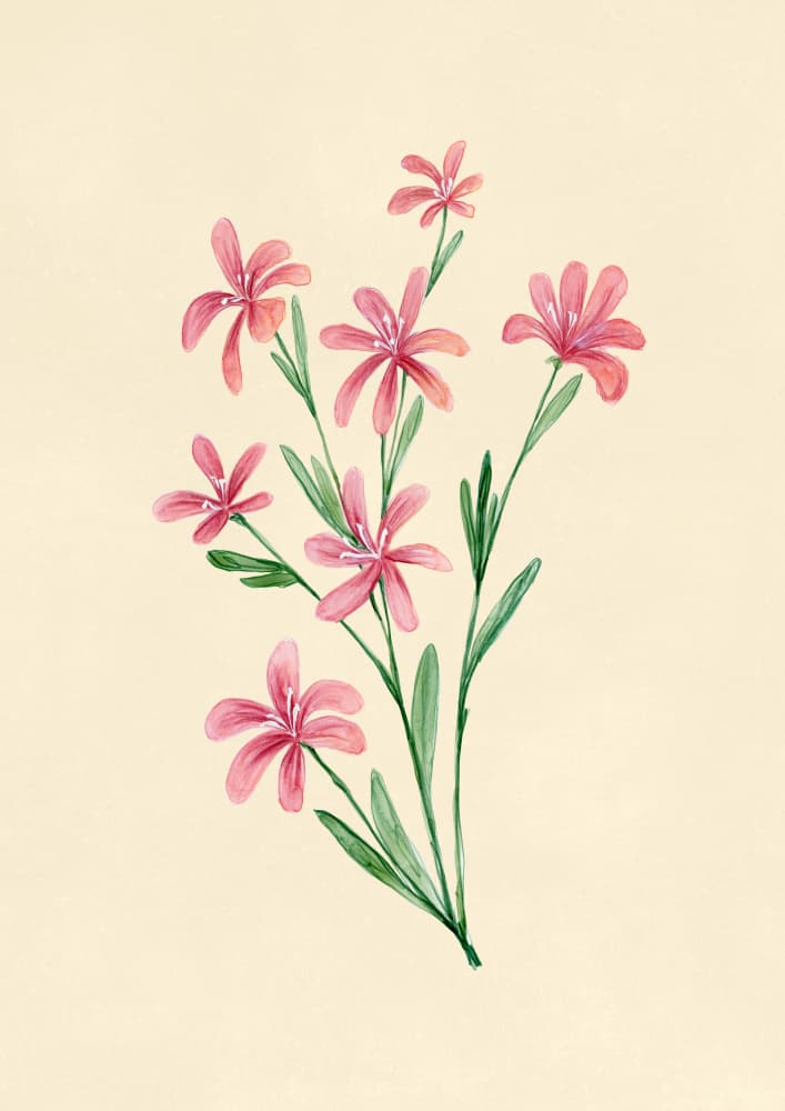 Soft Pink Blossoms by Rosana Laiz Blursbyai — canvas wall art