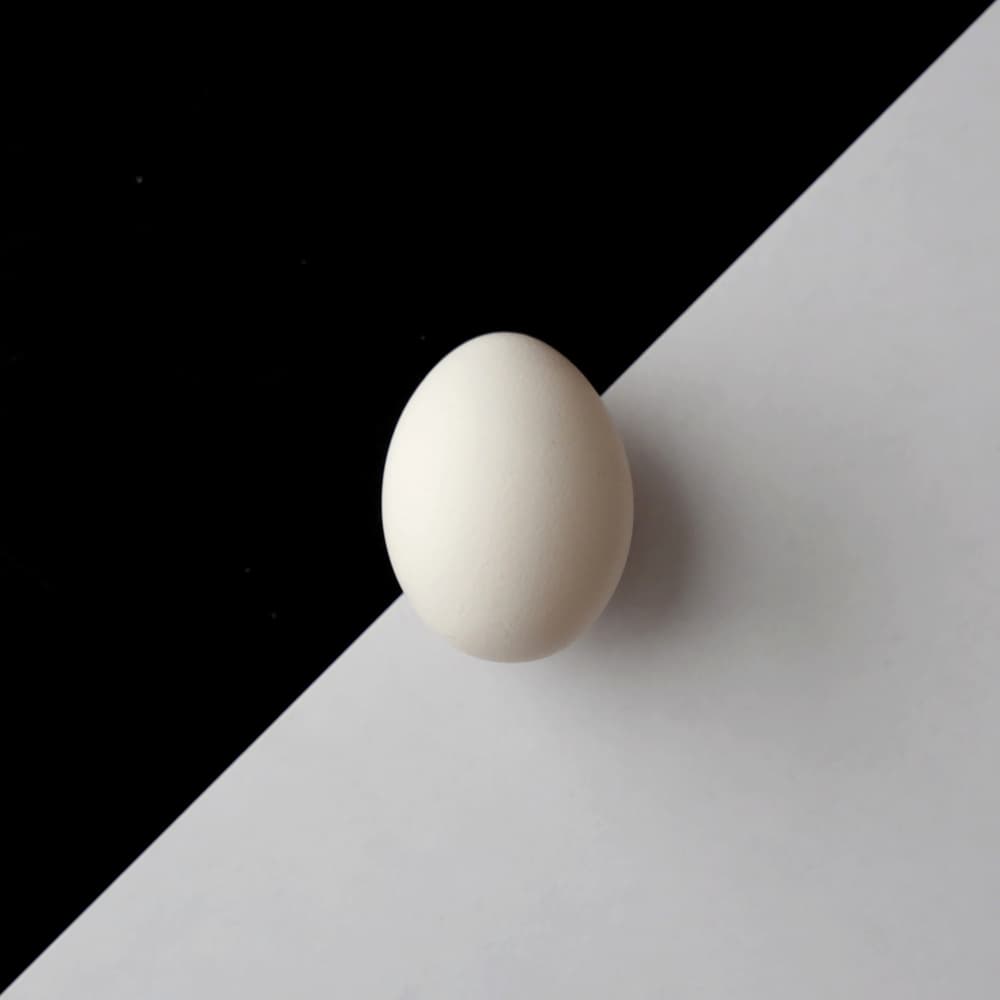 White Egg Contrast by Henk Langerak — canvas wall art