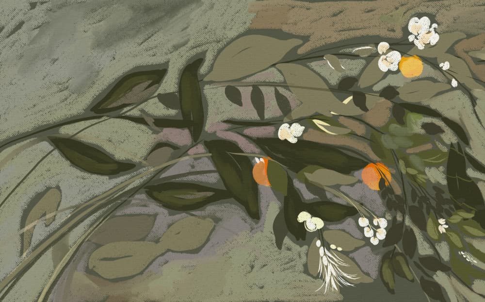 Flowering Citrus Branches