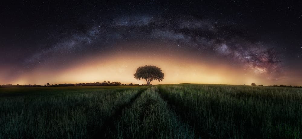 Lone Tree Under Milky Way by Iván Ferrero — canvas wall art