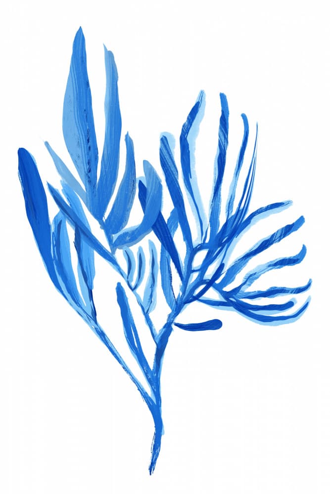 Watery Blue Plant Forms by cartissi — canvas wall art