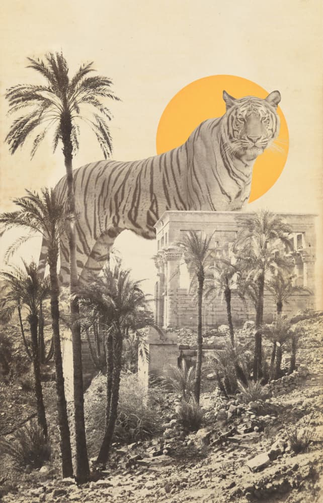 Majestic Tiger Ancient Ruins by Florent Bodart — canvas wall art