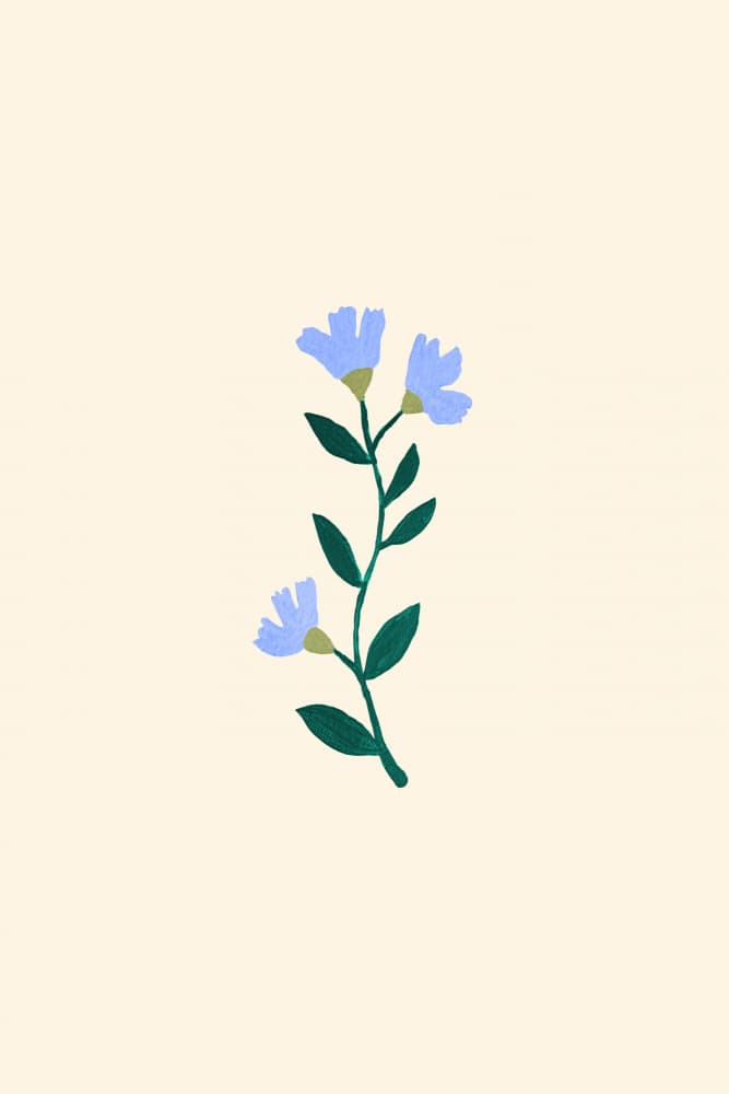Delicate Blue Floral by Karen Menzenbach — canvas wall art