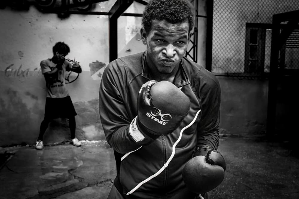 Focused Boxer Training by Ali Khataw — canvas wall art