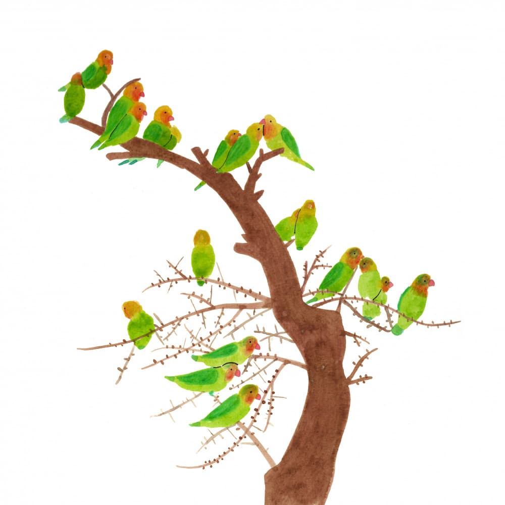 Lovebirds On Bare Tree by Zhigang Zhang — canvas wall art