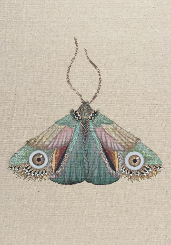 Whimsical Embroidered Moth by ZAM.ROD — canvas wall art