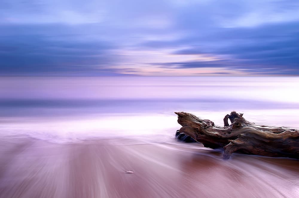 Driftwood On Purple Beach by Albena Markova — canvas wall art