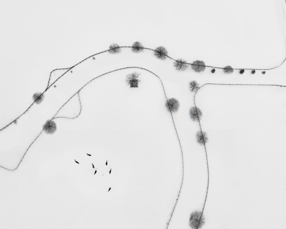 Winter's Winding Paths by Larry Deng APA — canvas wall art
