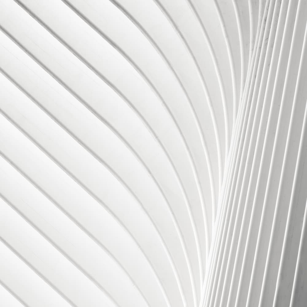 Elegant White Curves by Christian Meermann — canvas wall art