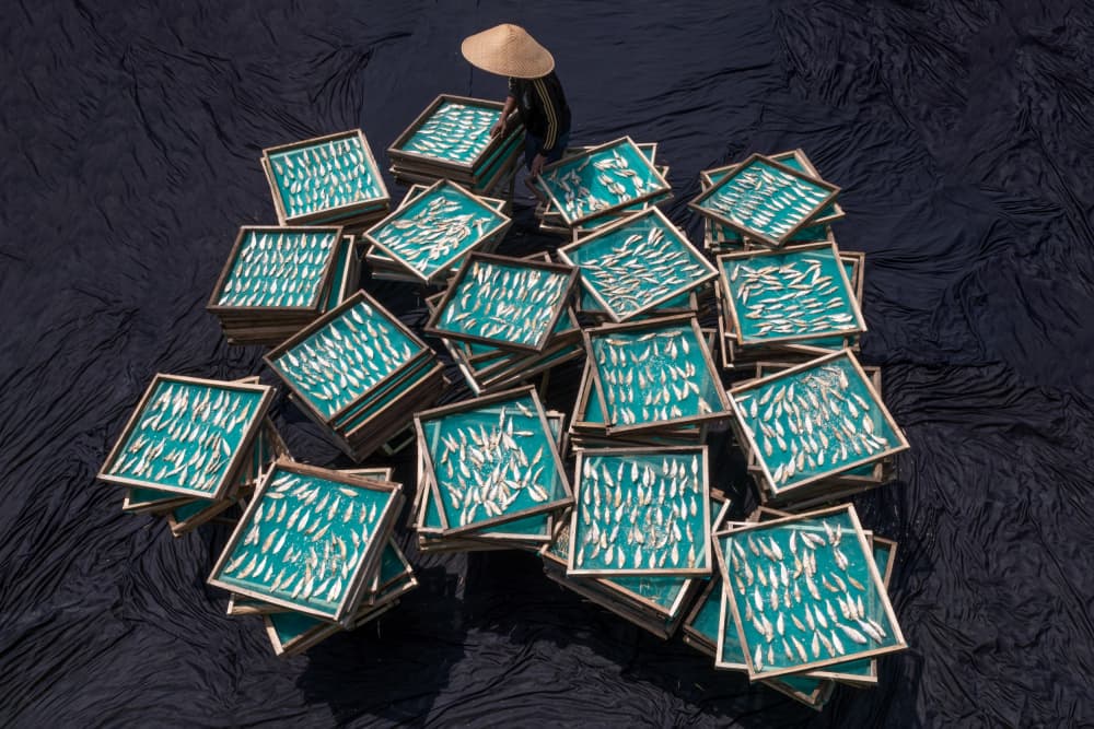 Fish Drying Pattern by Lisdiyanto Suhardjo — canvas wall art