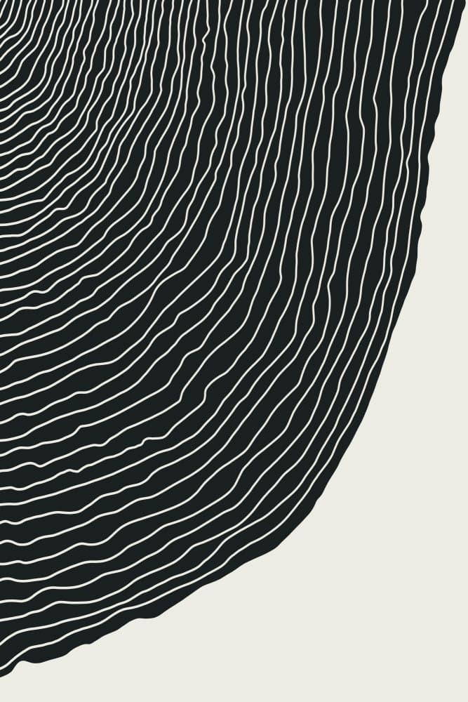 Flowing Abstract Curves by jay stanley — canvas wall art
