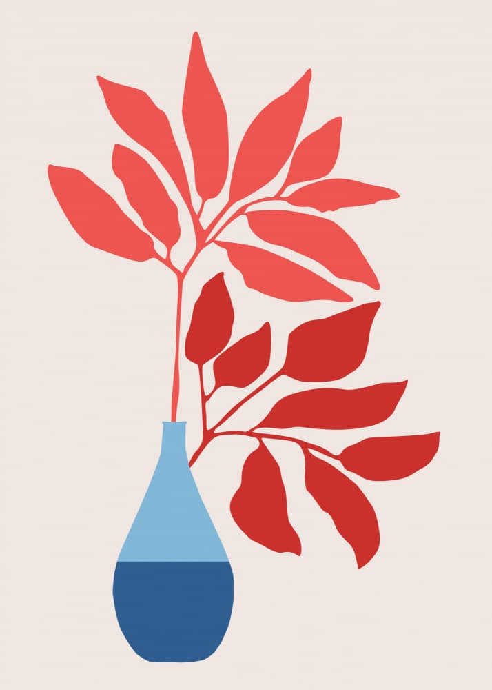 Strawberry Ficus by Kristian Gallagher — canvas wall art