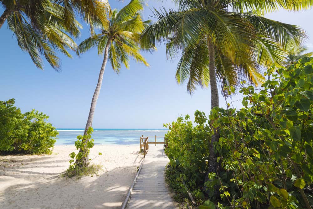 To the Beach by Stefan Hefele — canvas wall art