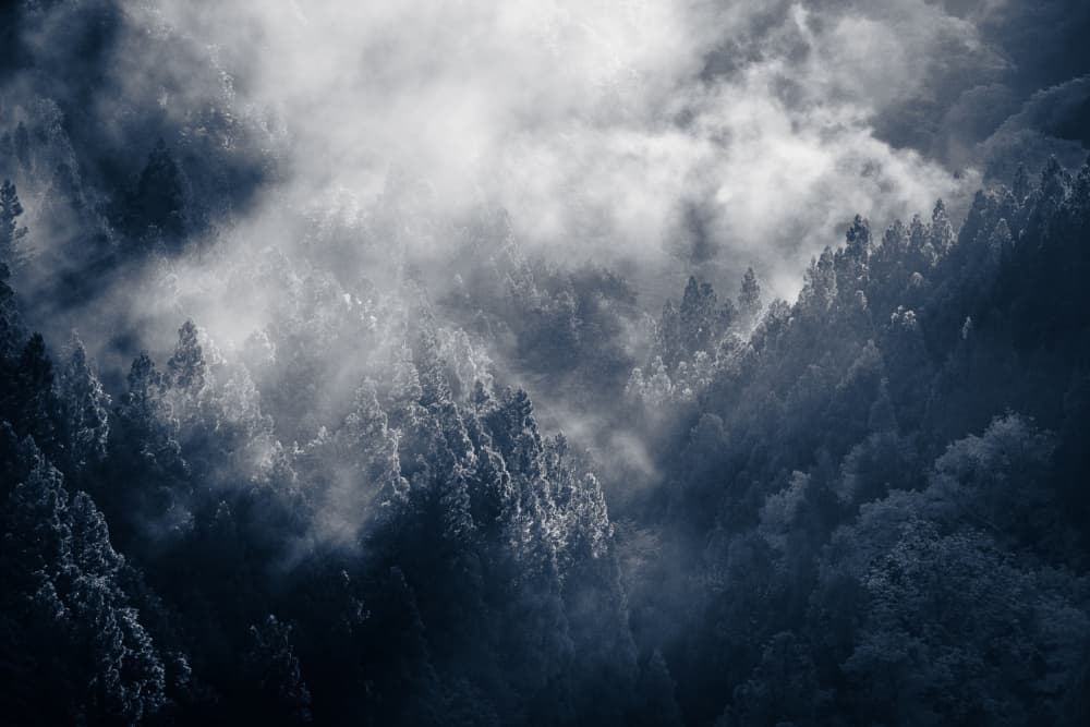 Misty Mountain Forest by 市岡弘光 — canvas wall art