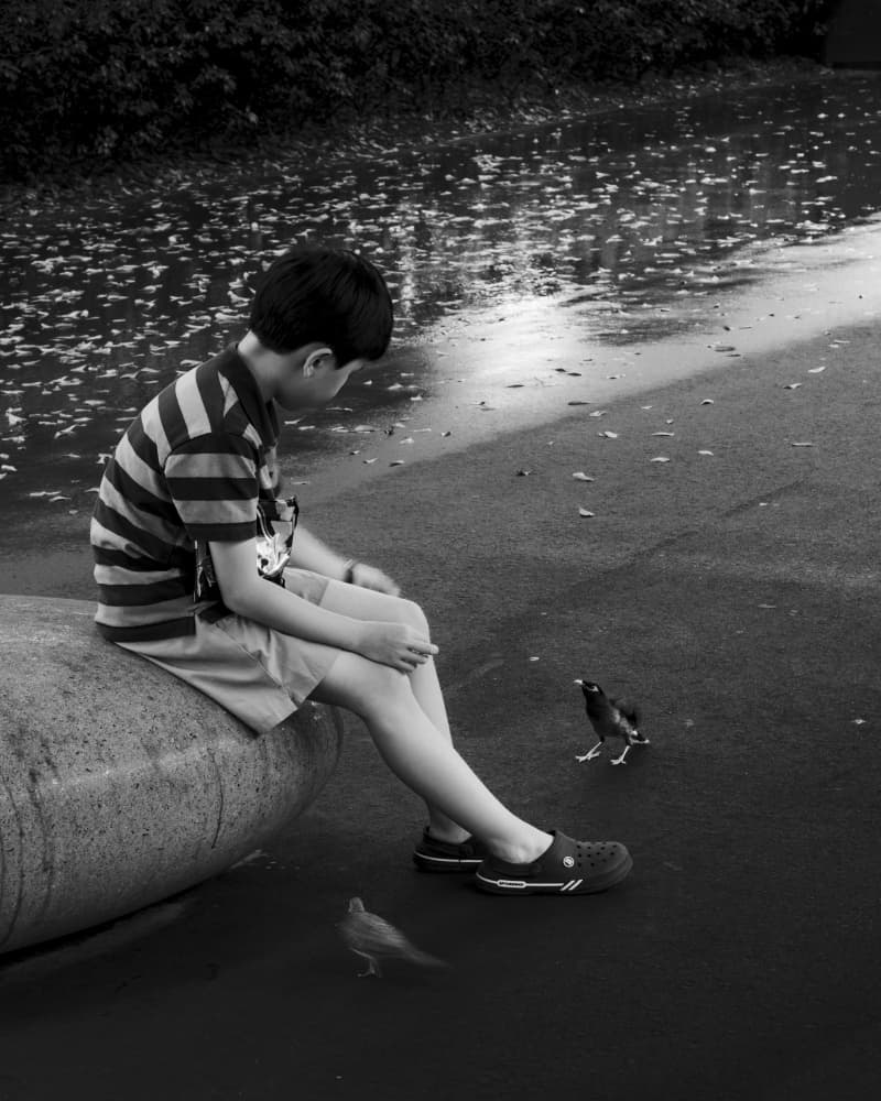 Pensive Boy and Birds by Alin Federiga — canvas wall art