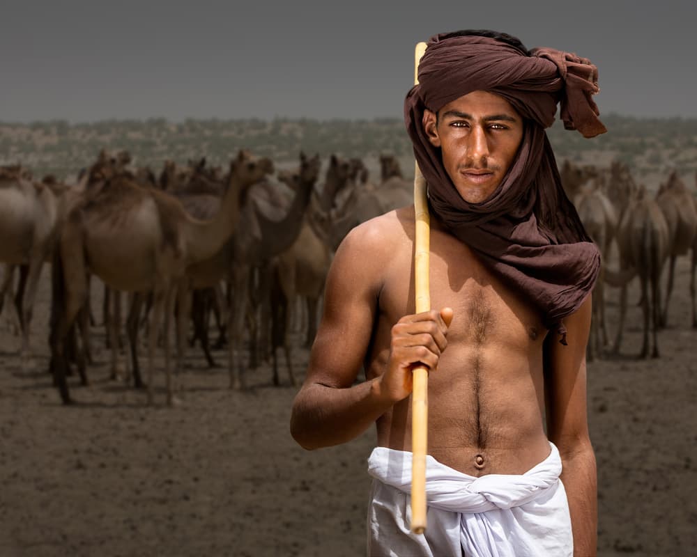 Desert Man and Camels by Sayyed Nayyer Reza — canvas wall art