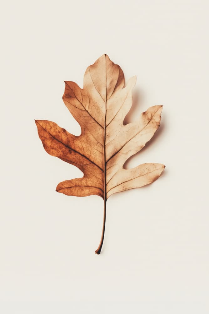 Autumn Whisper by Treechild — canvas wall art