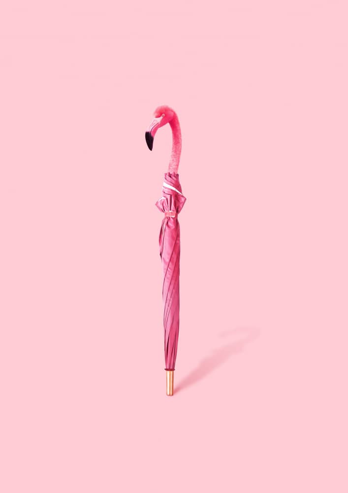 Pink Flamingo Umbrella by Artem Pozdniakov — canvas wall art