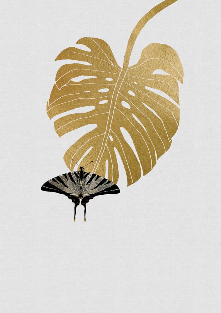 Golden Monstera Butterfly by Orara Studio — canvas wall art