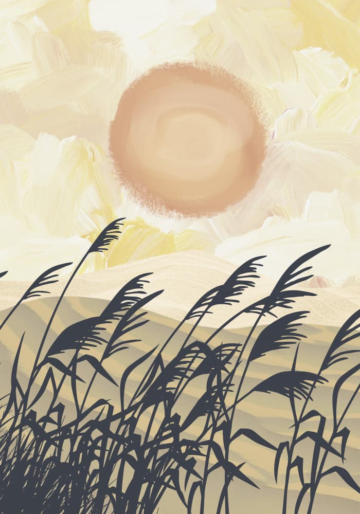 Golden Pampas Sunset by Fadil Roze — canvas wall art