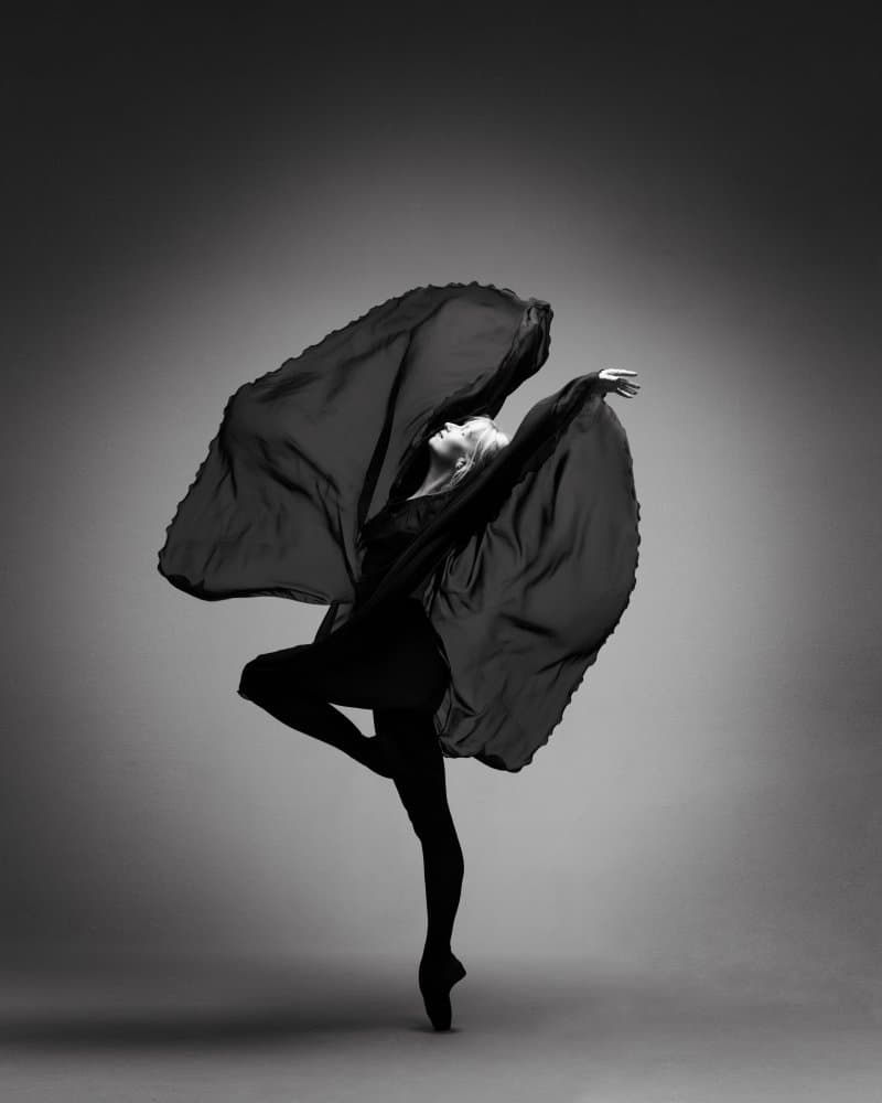 Elegant Black Ballet by Laura Benvenuti — canvas wall art