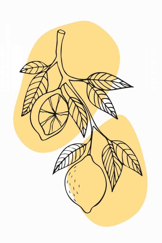Minimal Lemon Branch by jay stanley — canvas wall art