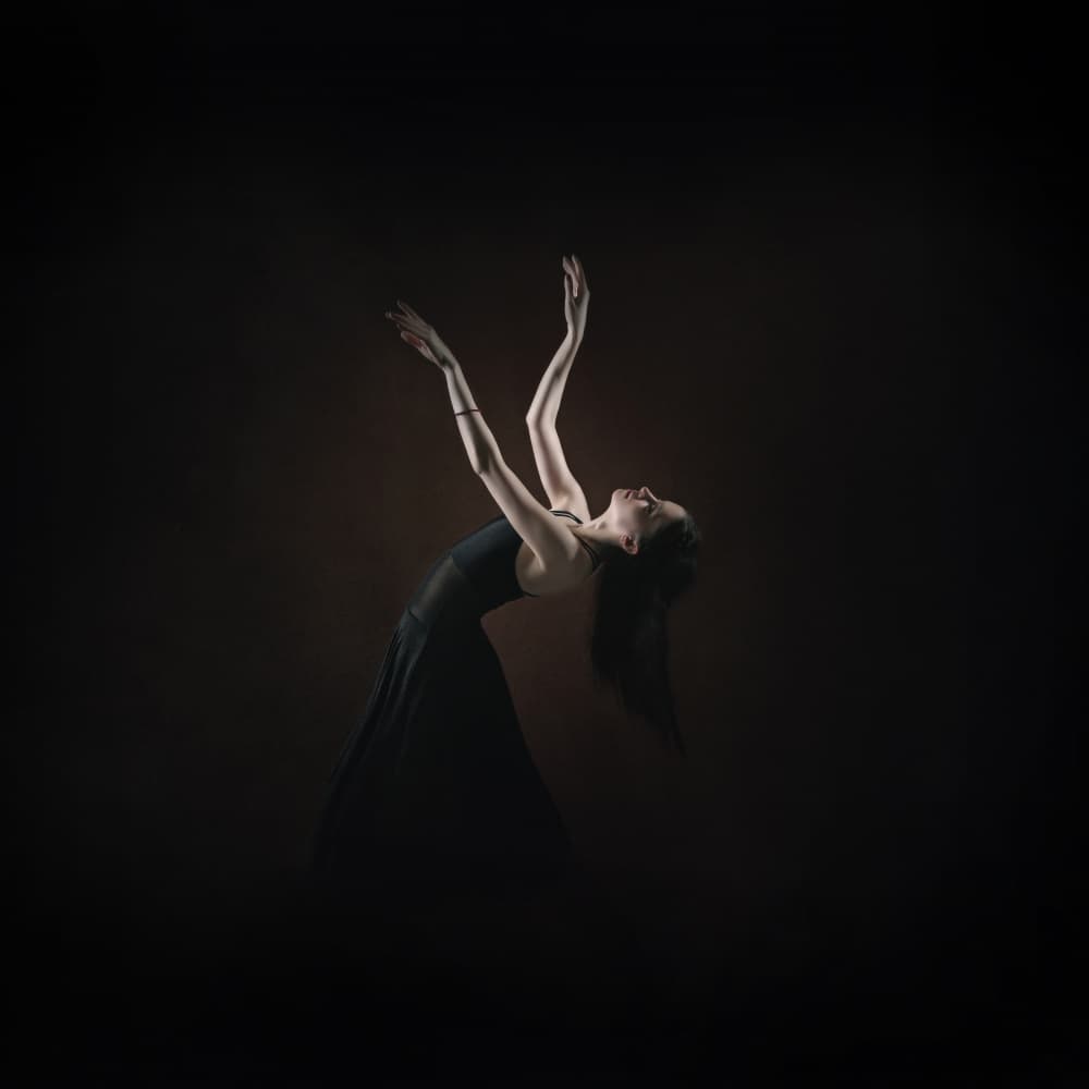 Graceful Dance Movement by Moein Hasheminasab — canvas wall art