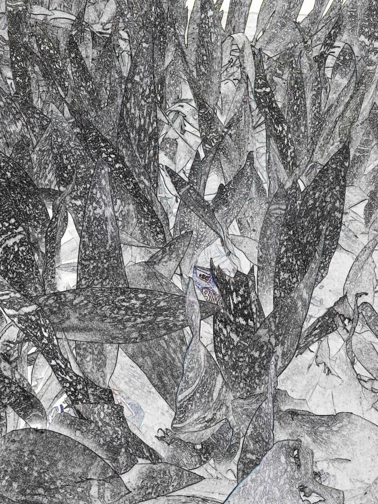 Hidden Jungle Creature by Santhosh ch — canvas wall art