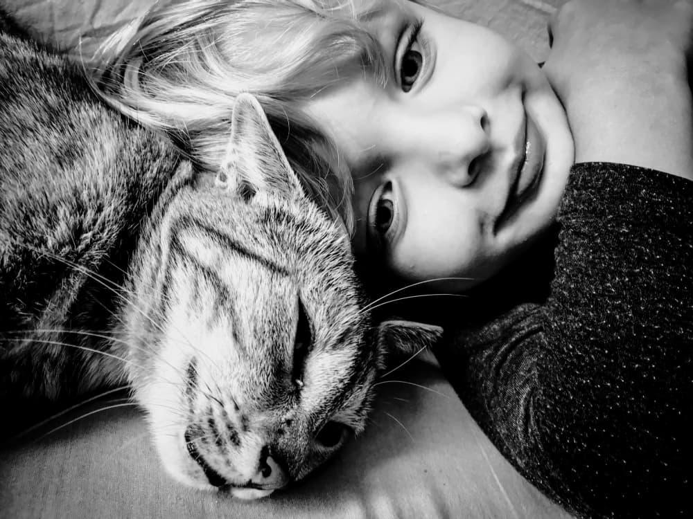 Happy Girl Cat by Ciupureanu Dan — canvas wall art
