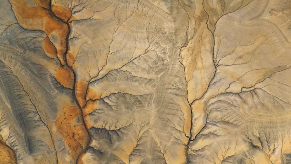 Earth's Veins Landscape by Linda Lu — canvas wall art