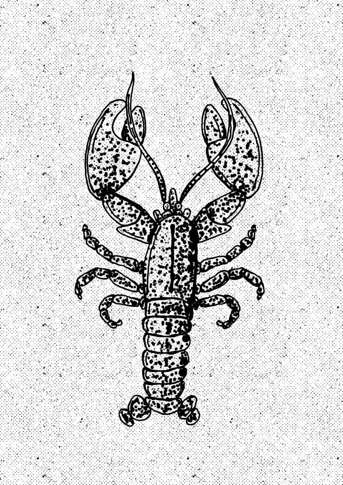 Vintage Lobster Drawing