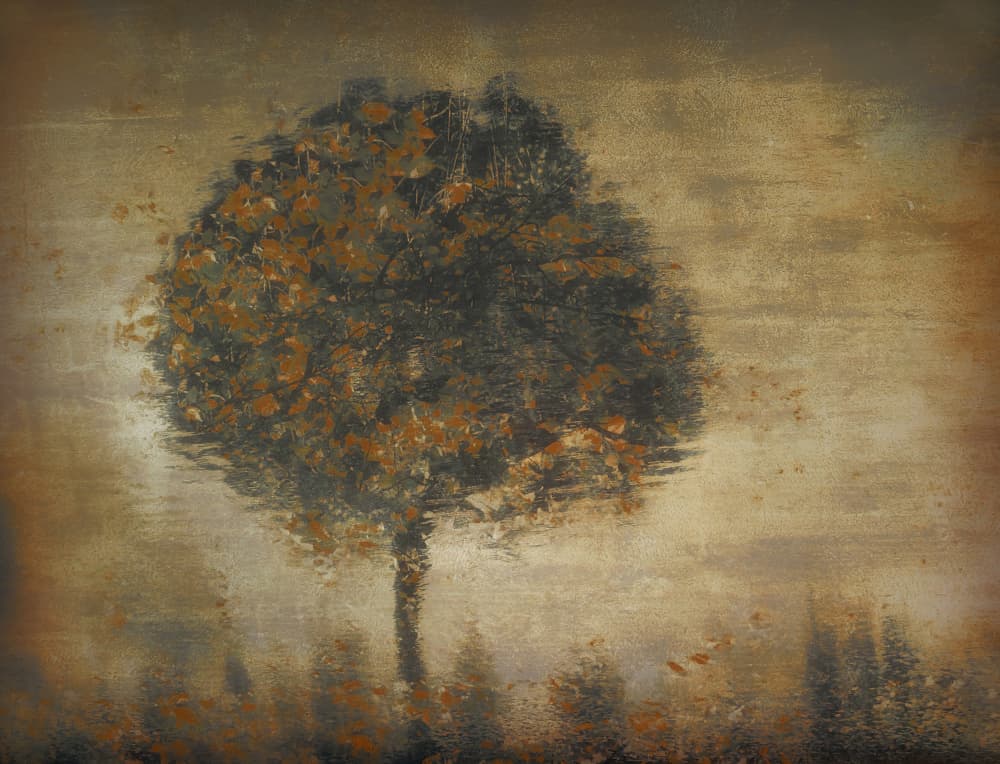 Fantasy by Nel Talen — canvas wall art