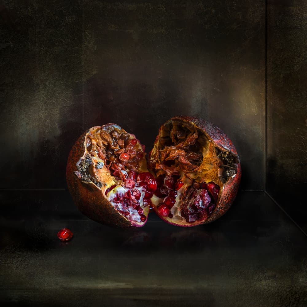 Dark Pomegranate Decay by Juan Antonio Palacios — canvas wall art