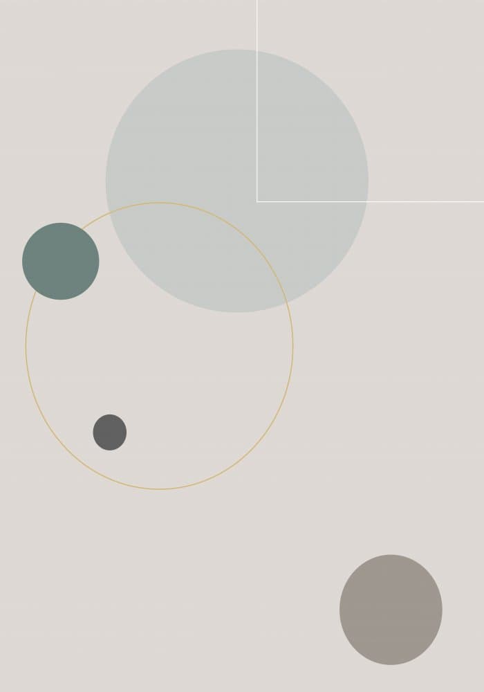 Muted Geometric Circles by Pictufy Studio II — canvas wall art