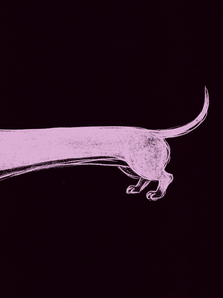 Pink Dachshund Silhouette by Andreas Magnusson — canvas wall art