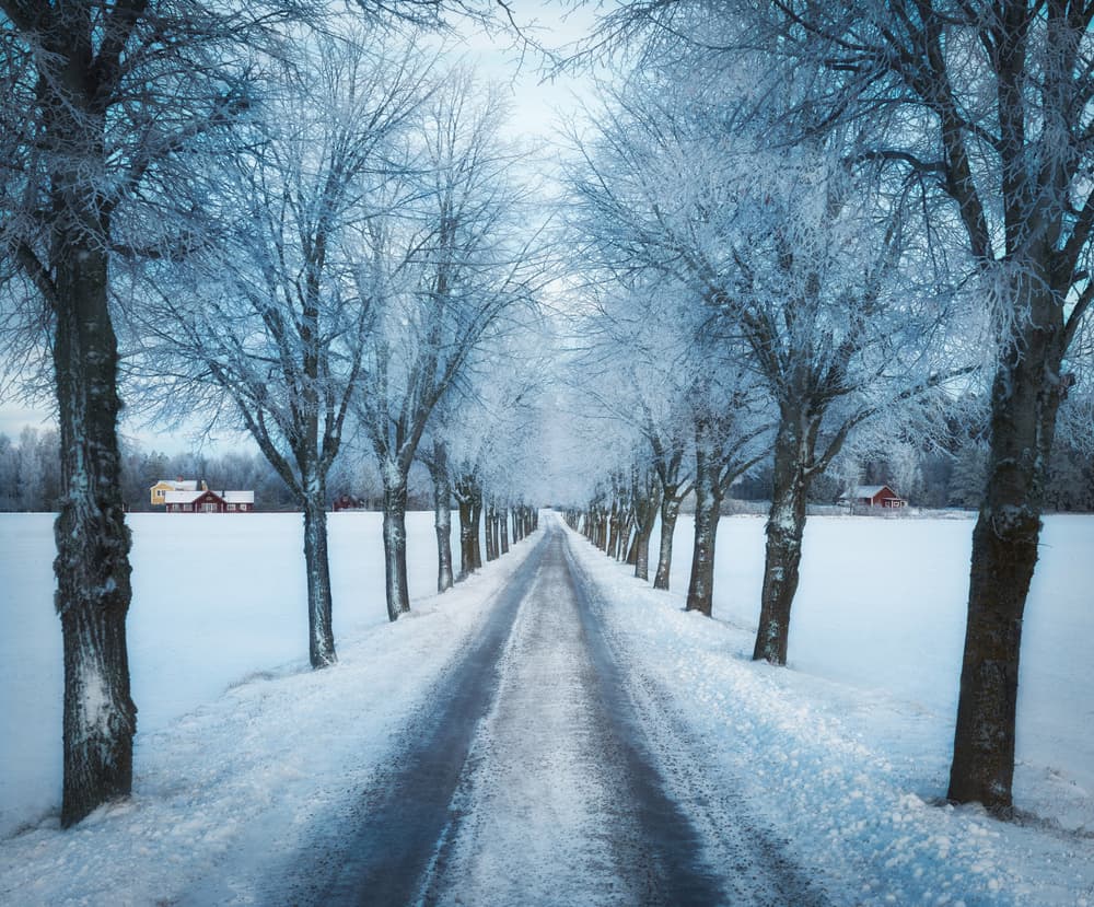 Winter Frosty Country Road by Christian Lindsten — canvas wall art