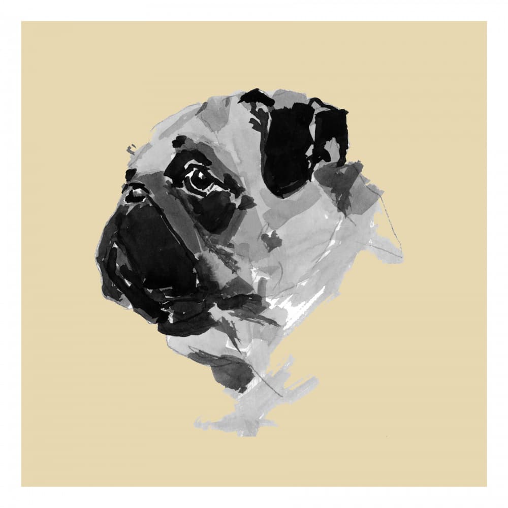Charming Pug Portrait by cartissi — canvas wall art