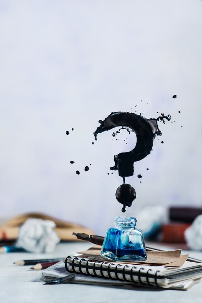 Ink Question Mark by Dina Belenko — canvas wall art