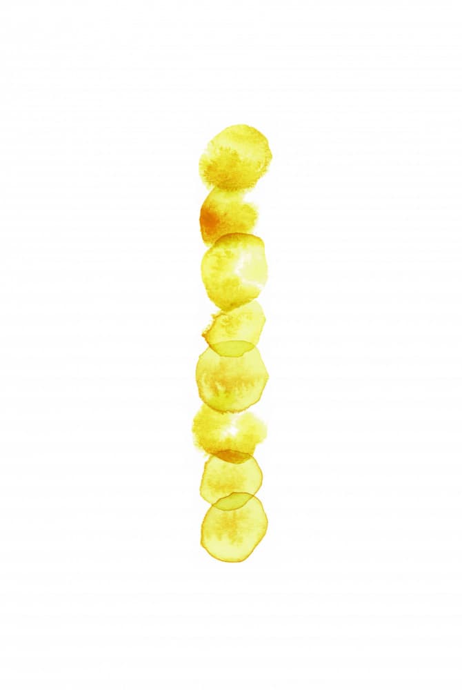 Stacked Yellow Circles by Fabiana Silveira — canvas wall art