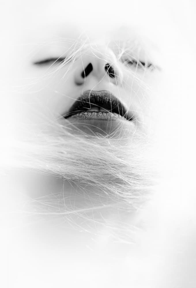 Dreamy Feminine Face by Toni Fidanza — canvas wall art