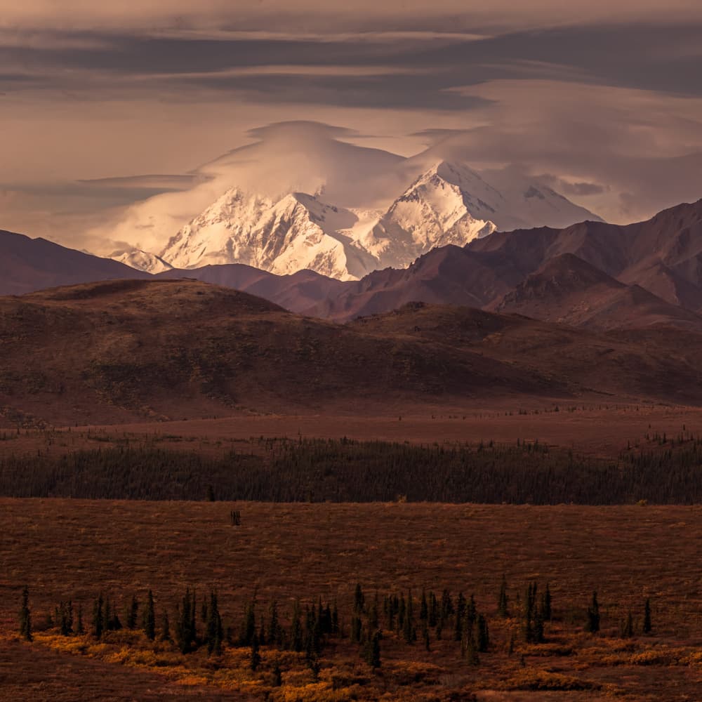 Majestic Denali Landscape by Yu Mao — canvas wall art