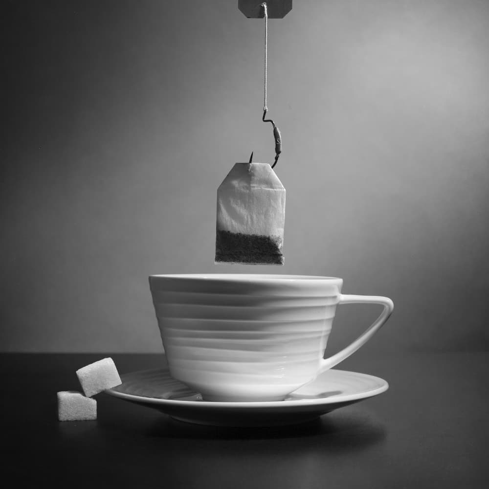 Fishing for Tea by Victoria  Glinka — canvas wall art