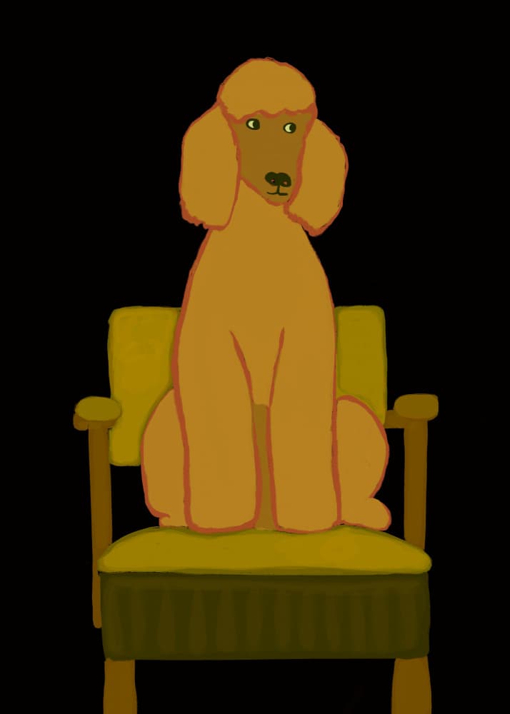 Poodle On Green Chair by Sharyn Bursic — canvas wall art